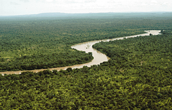 Meandro del río Gambia en el Parque Nacional de Niokolokoba, Senegal. Los parques nacionales de Senegal en Tu Gran Viaje