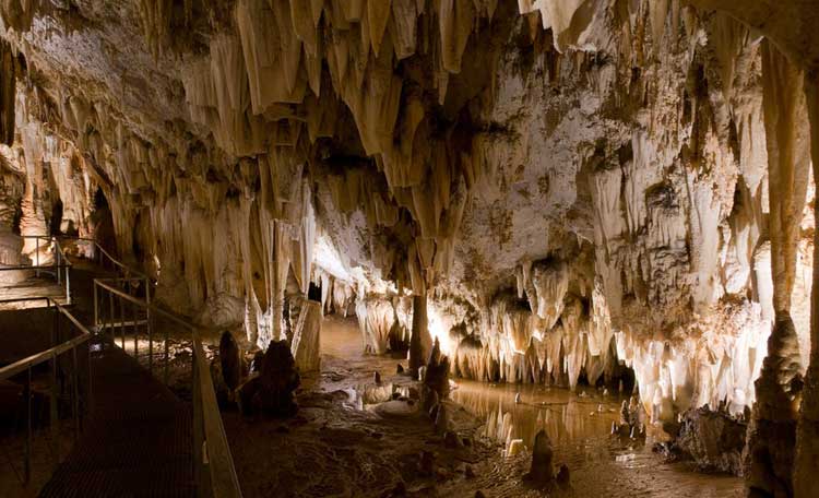 Cueva de Pozalagua en Karrantza (Bizkaia)