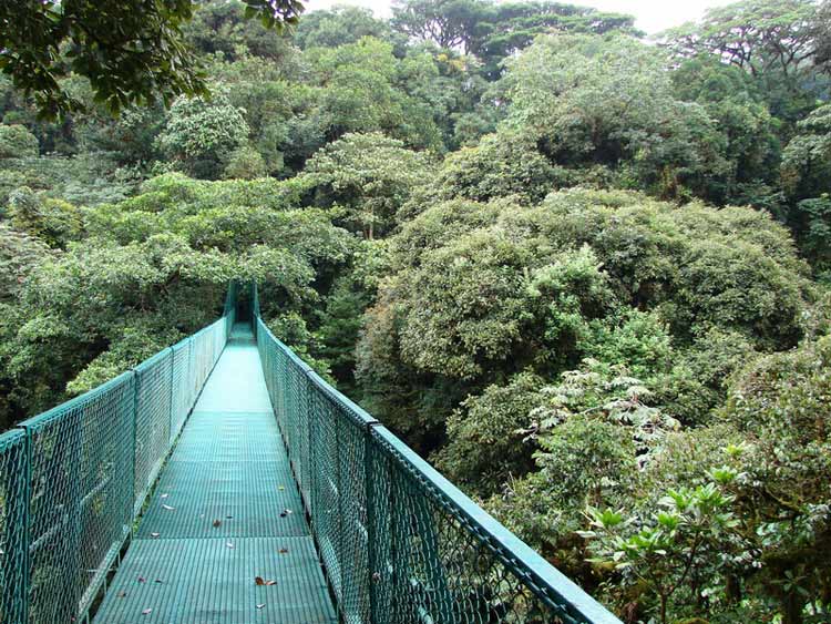 Puente colgante de Monteverde, Costa Rica