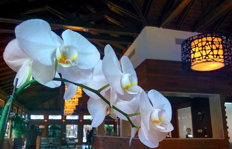 Lobby del Casa de Campo Resort & Villas. Foto © Tu Gran Viaje