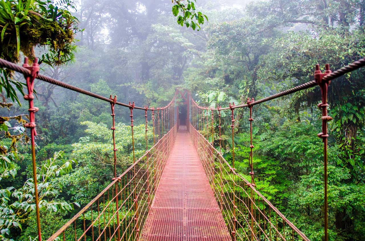 Tu Gran Viaje a Costa Rica. Los puentes colgantes de Monteverde. © Shutterstock